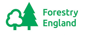 Forestry England logo
