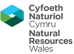 Natural Resources Wales logo